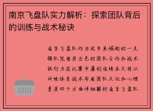 南京飞盘队实力解析：探索团队背后的训练与战术秘诀
