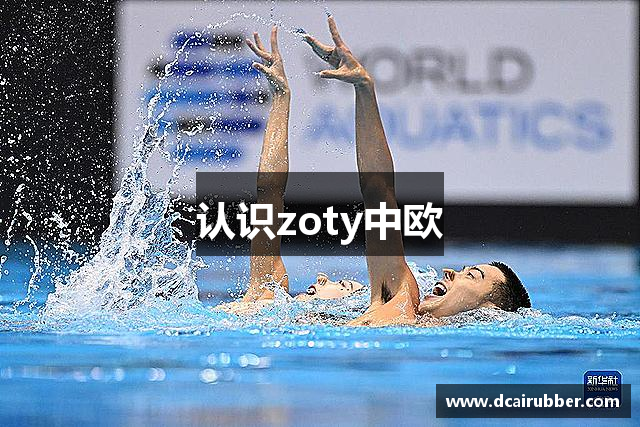 认识zoty中欧